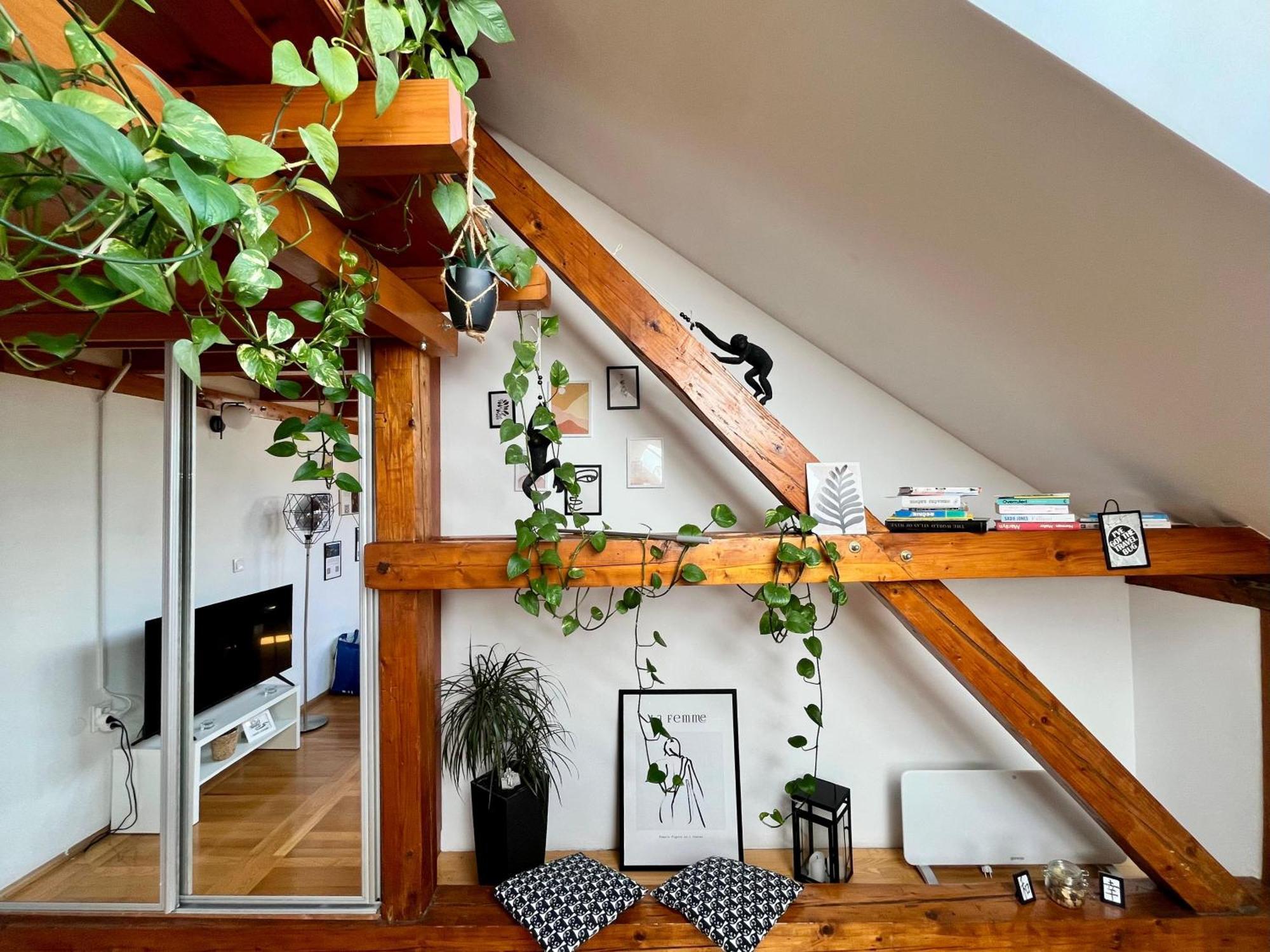 Captain Misha'S Place Belgrade Exterior photo